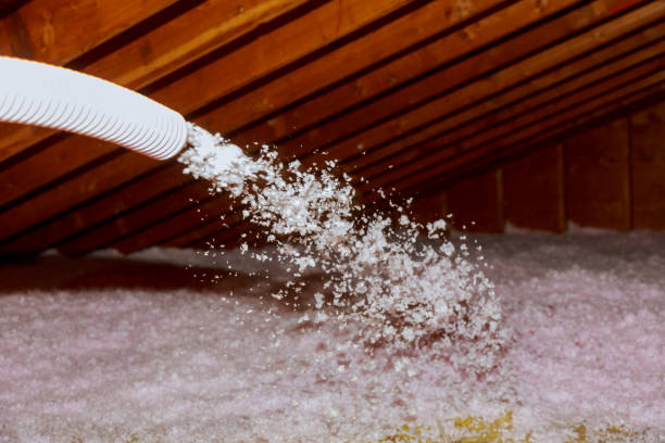 Best Insulation for New Construction  in Mathews, VA