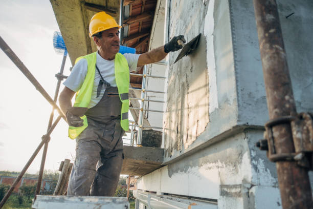 Best Insulation Removal  in Mathews, VA