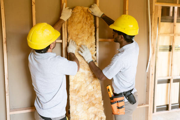 Best Commercial Insulation Contractor  in Mathews, VA
