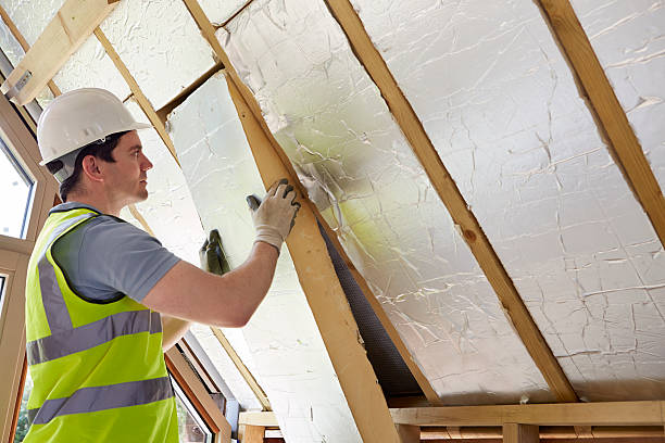Best Insulation for New Construction  in Mathews, VA
